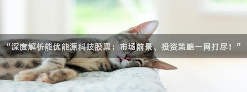 sunbet程序
