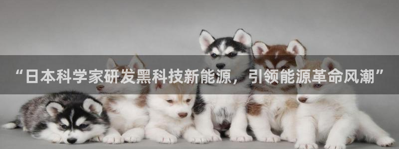 sunbet靠谱吗