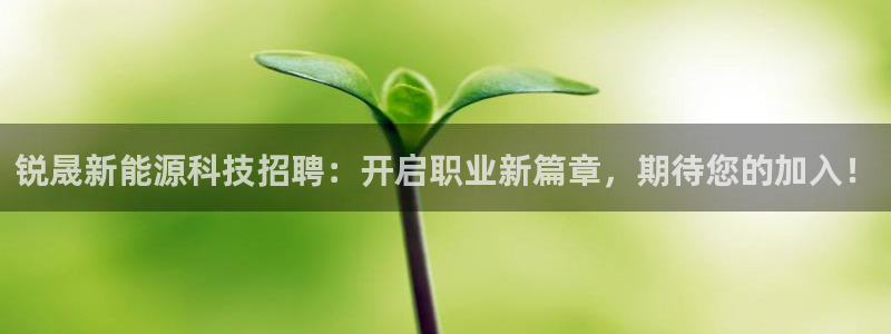 sunbet手机网页版