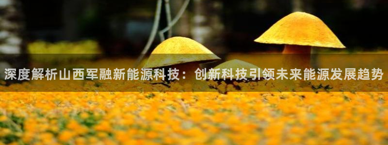 sunbet游戏网