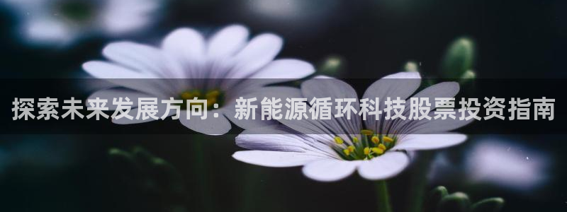 sunbet手机网页版