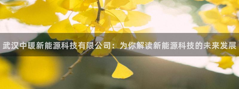 sunbet最新消息