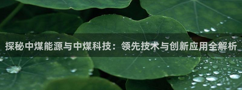 申博官网电脑版下载