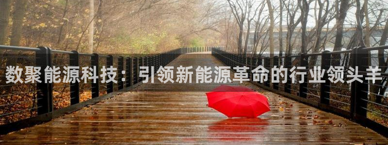 sunbet中国官网
