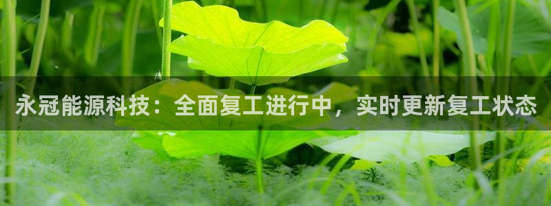 sunbet官网welcome