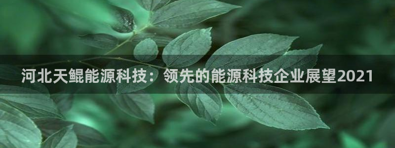 申博官网手机版下载app