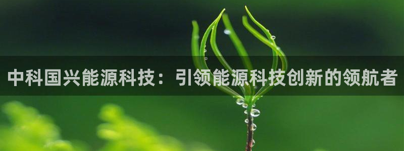 sunbet最新登陆