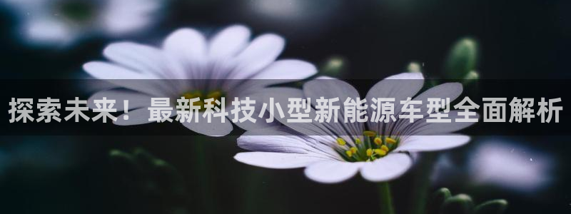 sunbet手机网页版下载