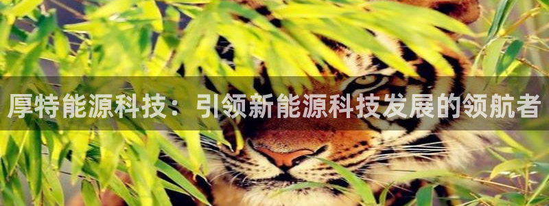 sunbet游戏官网