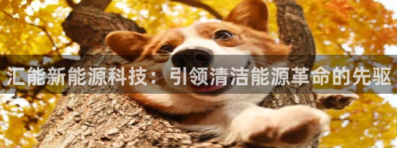 sunbet手机版登录