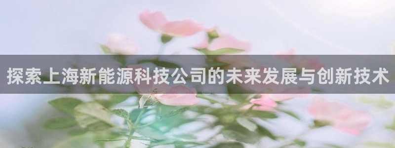 sunbet中文