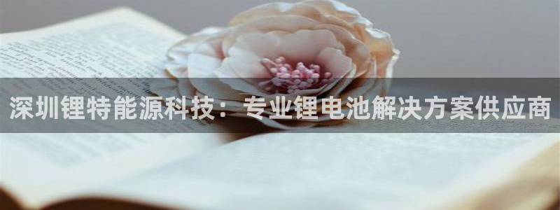 申博视讯