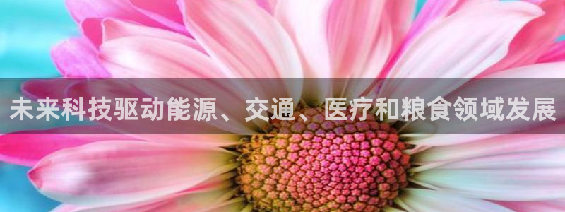sunbet线上真人手机版