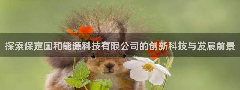 sunbet申搏app下载
