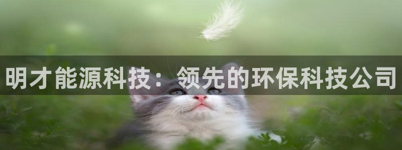 sunbet中文
