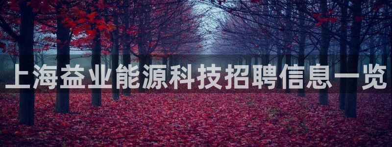 sunbet源码