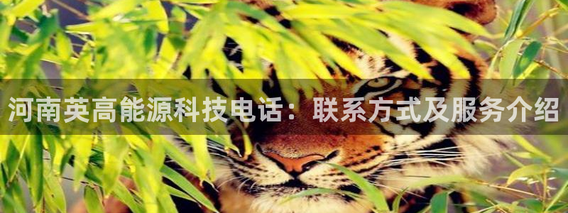 sunbet燃气灶