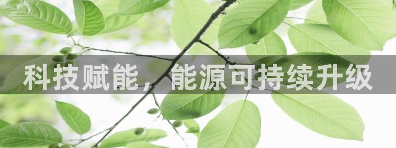 sunbet申搏app下载