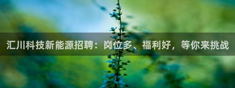 sunbet手机网页版下载
