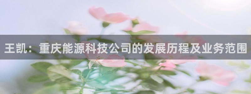 申博官网电脑版下载