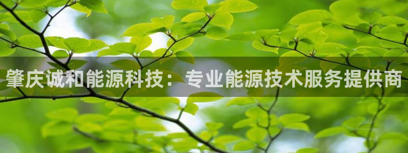 sunbet手机版官网下载
