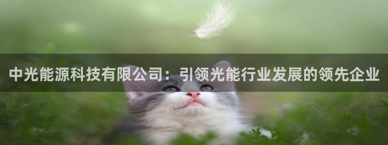 sunbet游戏网