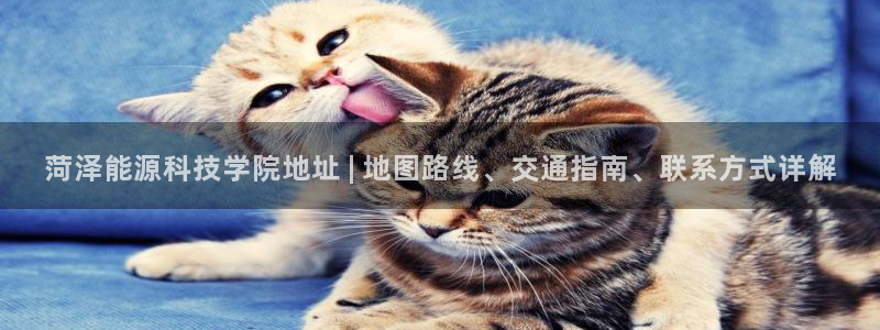 sunbething怎么读