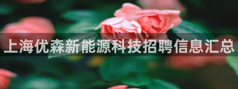 申博手机网址