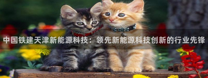 sunbet官网app首页