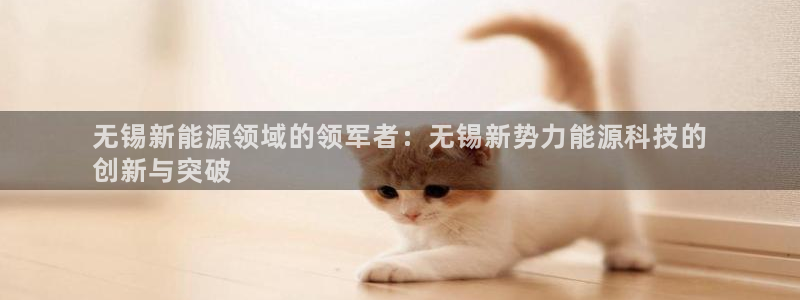 sunbet程序