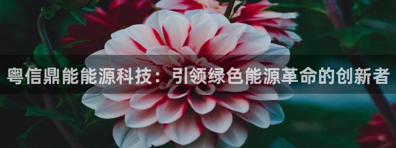 sunbet手机版官网下载