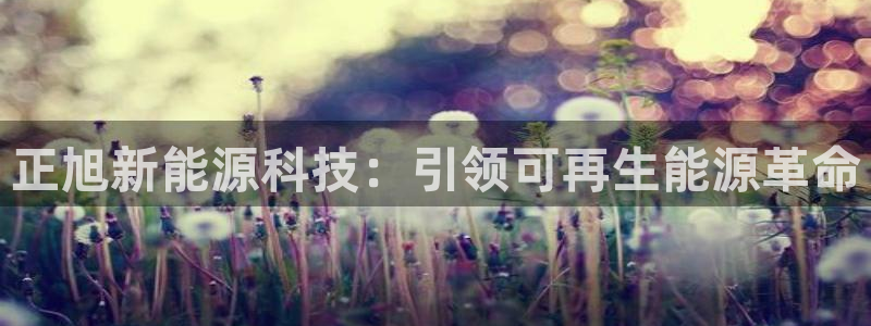 申博官网电脑版下载