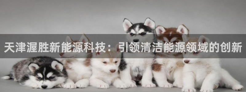 申慱sunbet版app