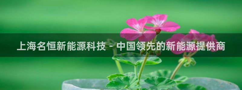 申博官网手机版下载app