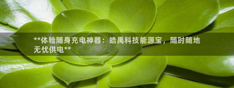 sunbet官网登录首页