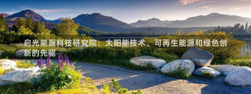 sunbet最新消息