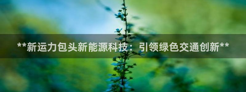 sunbet手机app版