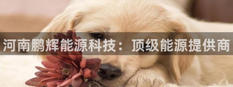 下载申搏sunbet并安装app