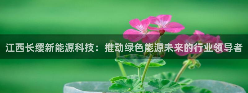 sunbet手机端
