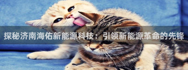 申博官方网站手机版下载