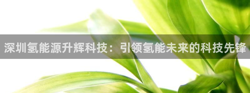 申博手机网站