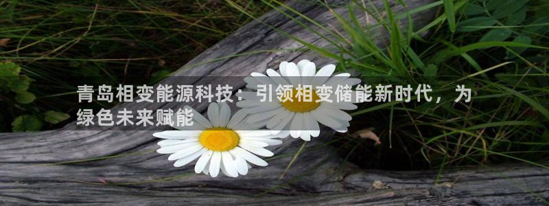 sunbet游戏网