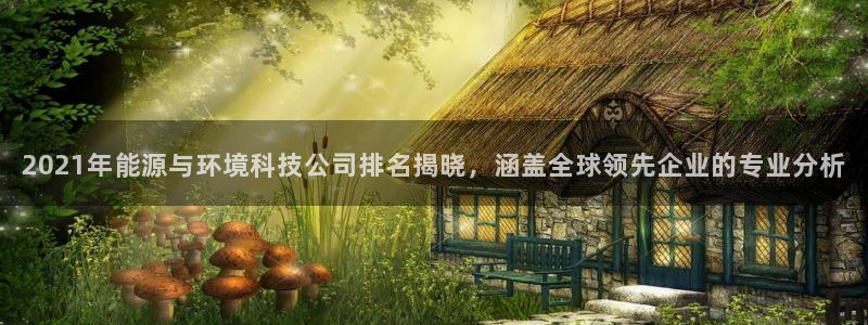 sunbet程序