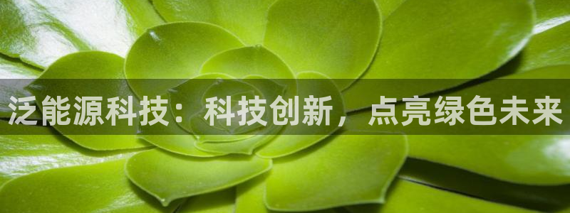 sunbet申搏官方网站