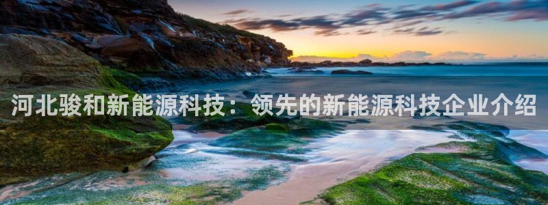 sunbet源码
