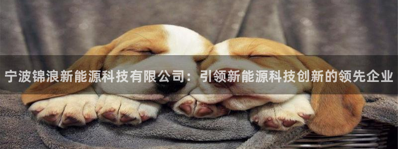 sunbet源码