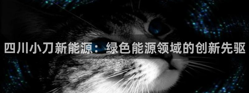 sunbet英语翻译