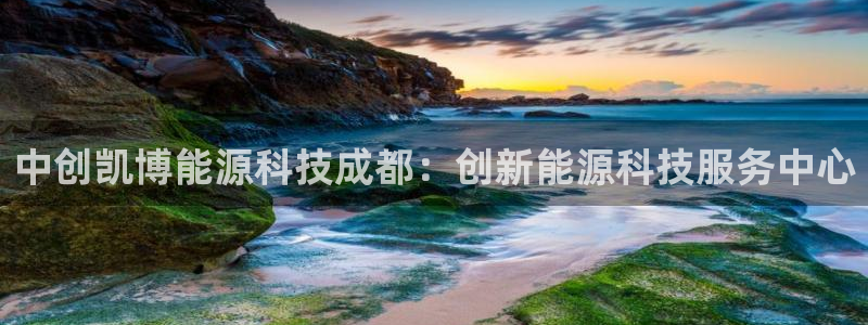 申博官方网站手机版下载