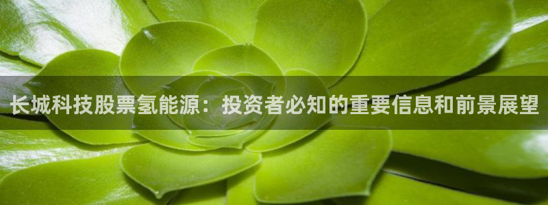 sunbet申搏官网