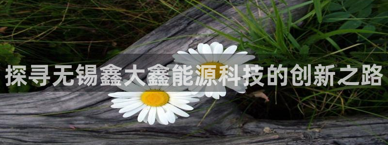 sunbet申搏官方网站